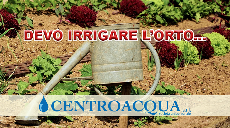 Centroacqua srl_DEVO IRRIGARE L ORTO