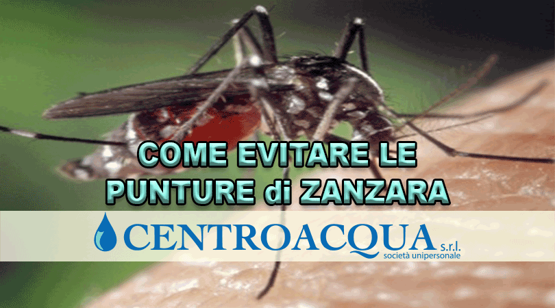 Come-evitare-le-punture-di-zanzara